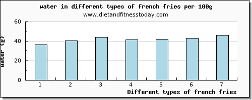 french fries water per 100g